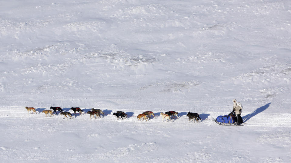 KJ�LIG AVSLUTNING: Lance Mackey leder Iditarod klart og st�r forann sin tredje strake seier i det legendariske hundel�pet. Men med en gradestokk ned mot minus femti blir parademarsjen kald.Foto: AP /Al Grillo