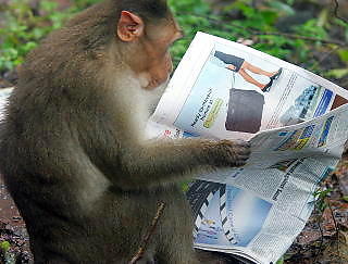 APE.NO: Bakrommets nettjournalist blar gjennom dagens aviser p� jakt etter saker � etterape.Foto: Arko Datta, Scanpix