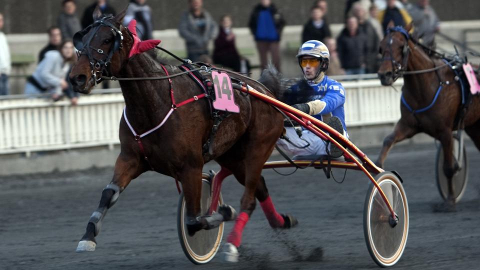 SISTE SJOKK. Her feier Princess Valley N. over m�l. Men da var alle V75-kuponger i b�tta allerede. Foto: HESTEGUIDEN.COM.