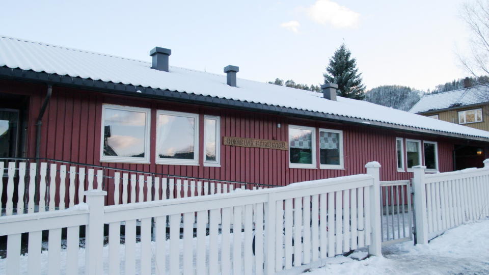 TESTER BARNEHAGEBARN: 
Et barn har d�dd som f�lge av E. coli-smitte. To andre har f�tt p�vist den samme bakterien hittil i �r. Folkehelseinstituttet behandler saken som et nasjonalt utbrudd. S�skenparet som har f�tt konstatert E.coli-smitte g�r i Hommelvik barnehage i Melvik i S�r-Tr�ndelag.
Foto: Tor Aage Hansen / SCANPIX