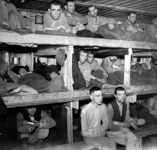 OPERASJON ASFALT: Den kalde krigen bidro til de sovjetiske krigsfangenes historie lange var skj�vet ut av den norske krigshistorien. I 1951 startet norske myndigheter �operasjon asfalt�, hvor levninger etter d�de sovjetiske krigsfanger ble flyttet fra gravsteder i Nord-Norge til krigsgravstedet Tj�tta p� Helgelandskysten. Men det var ikke bare i Nord-Norge graver ble gravd opp og minnesmerker fjernet. Levningene i Stavern ble flyttet til Vestre Gravlund i Oslo. Her et bilde av sovjetiske krigsfanger fra krigen. Foto: SCANPIX
