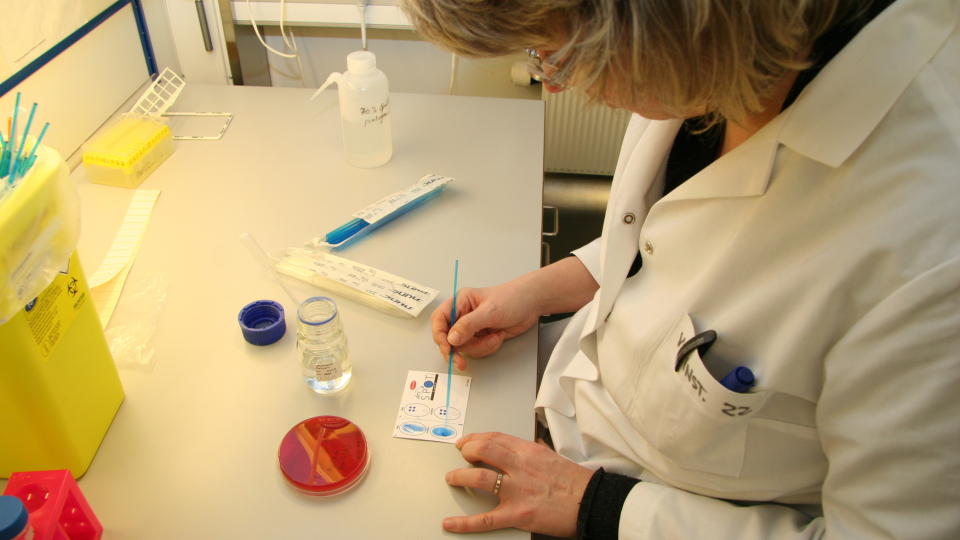LETER: Jakten etter smittekilden til E. coliutbruddet p�g�r for fullt. P� dette bildet tester Gro Johannessen ved seksjon for matbakteriologi og GMO bakterienes overflateegenskaper. Foto: HANNE MARI JORDMYR/VETERIN�RINSTITUTTET