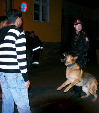 AMPERT: Like ved B�rsen gikk politiet til aksjon med hunder og trukne batonger. Det ble ogs� tatt beslutning om bruk av t�regass, men situasjonen roet seg ned f�r det ble n�dvendig.  Foto: HARALD S. KLUNGTVEIT