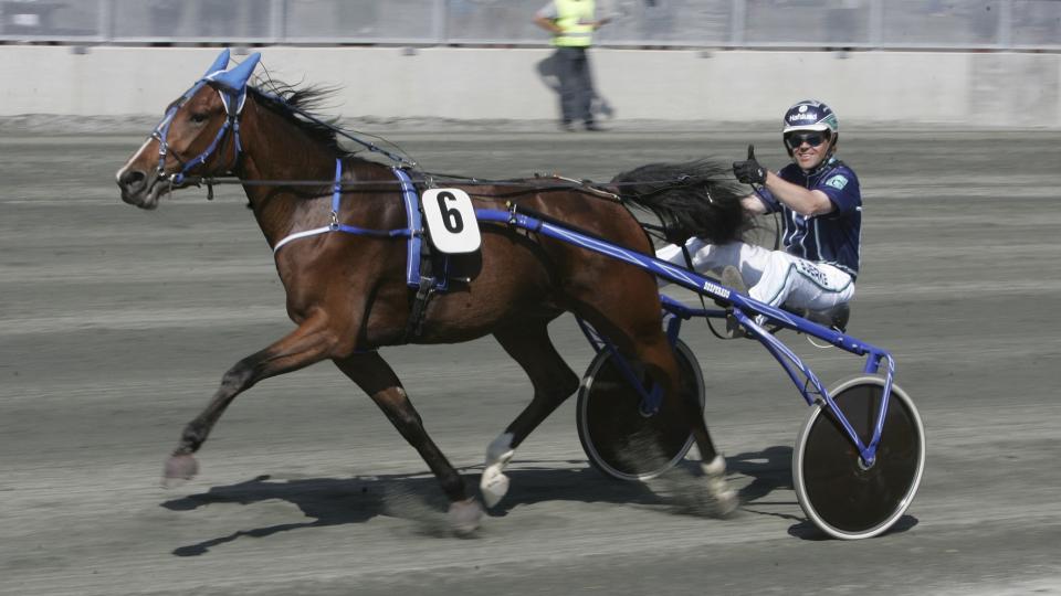 TOMMELEN OPP. Geir Vegard Gundersen og travyndlingen Tinita Love er klar for p�sketrav p� Klosterskogen l�rdag i V75-spillet. Foto: HESTEGUIDEN.COM