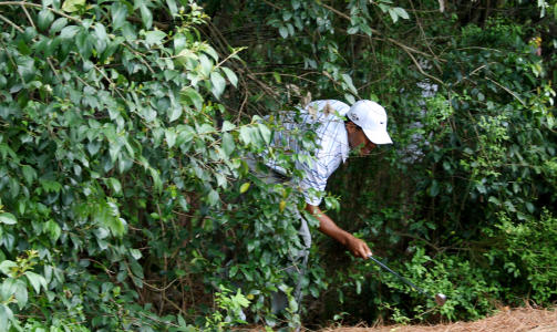 UT P� BANEN IGJEN: Tiger Woods p� vei ut av krattet. Foto: AFP