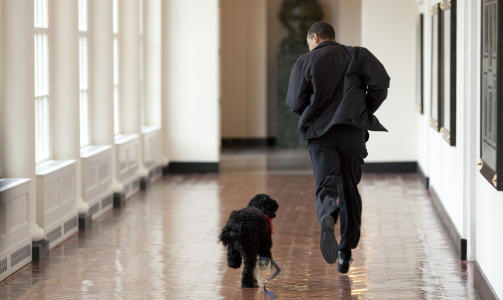 ET HUNDELIV: President Barack Obama l�per side om side med familiens nyervervelse. Foto: AFP PHOTO/THe White House/Pete SOUZA/SCANPIX