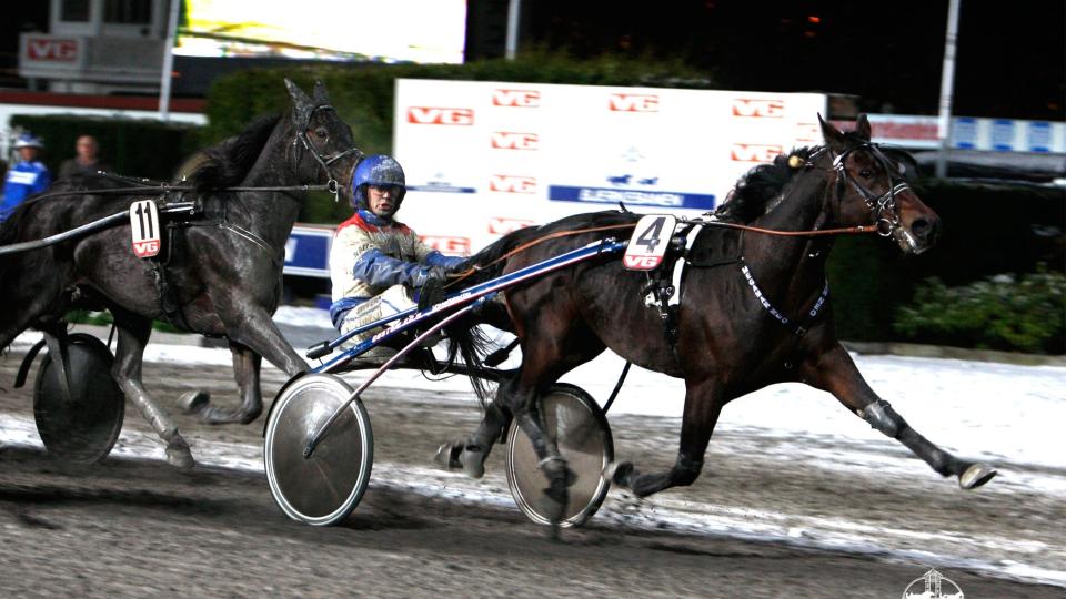 TAR STEGET. I �r skal Megaman Neo f� internasjonal stjernestatus. Men f�rst skal han vinne et V65-l�p p� Bjerke. Foto: HESTEGUIDEN.COM.