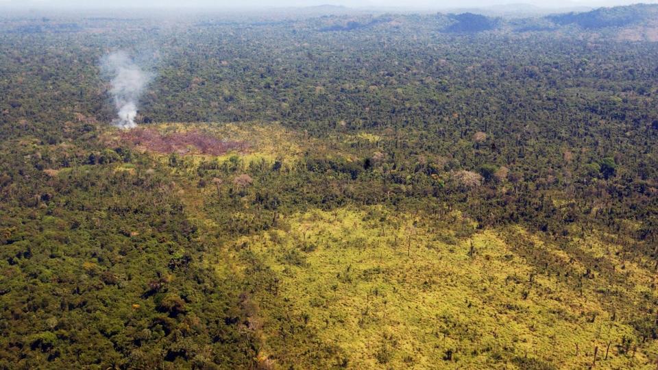  Amazonas i Brasil forsvinner med alarmerende fart. Norge investerer i selskaper som anklages for � bidra til � rasere regnskogen. Foto: SCANPIX