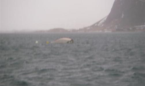 - INGEN TEGN TIL LIV: Kun 40-50 centimeter av baugen p� den havarerte sjarken l� over vann. Foto: Redningsselskapet