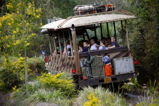 ANIMAL KINGDOM