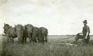 UENDELIGE �KRE: Gunnar �. Berg pl�yer jorden p� sin nye eiendom i Canada p� 1920- eller 1930-tallet. P� fotografiets bakside skrev han: �I Canada bruker me inkje spae til bryte upp jor, som gjorde heime i Norig, men brukar fire sterke hestar p� plojen.�Foto: UKJENT
