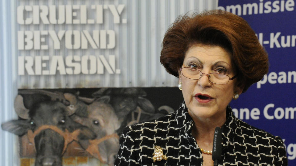 SKAL DISKUTERE SVINEINFLUENSAEN: EUs helsekommiss�r Androulla Vassiliou har kalt inn til hastem�te. Foto:   AFP PHOTO / JOHN THYS