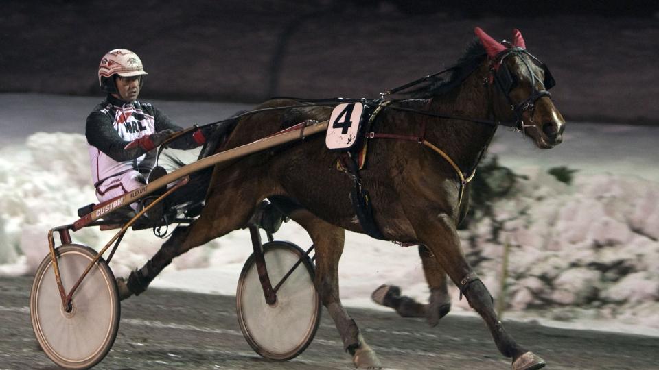 DRISTIG VARIANT. Bengt Berg tar en dristig variant og bruker Jobie Light som sin lunsjbanker p� Klosterskogen tirsdag. FOTO: HESTEGUIDEN.COM.