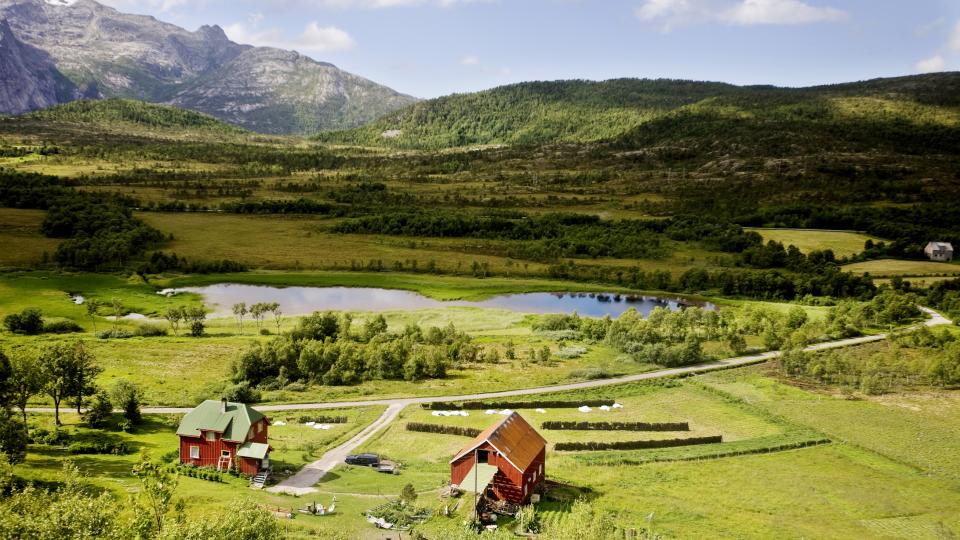 VIL REGULERE: Frp'ere flest vil regulere norsk landbruk. Det vil ikke de tillitsvalgte og programmet vil avregulere mest mulig.
Foto: Kyrre Lien / SCANPIX
