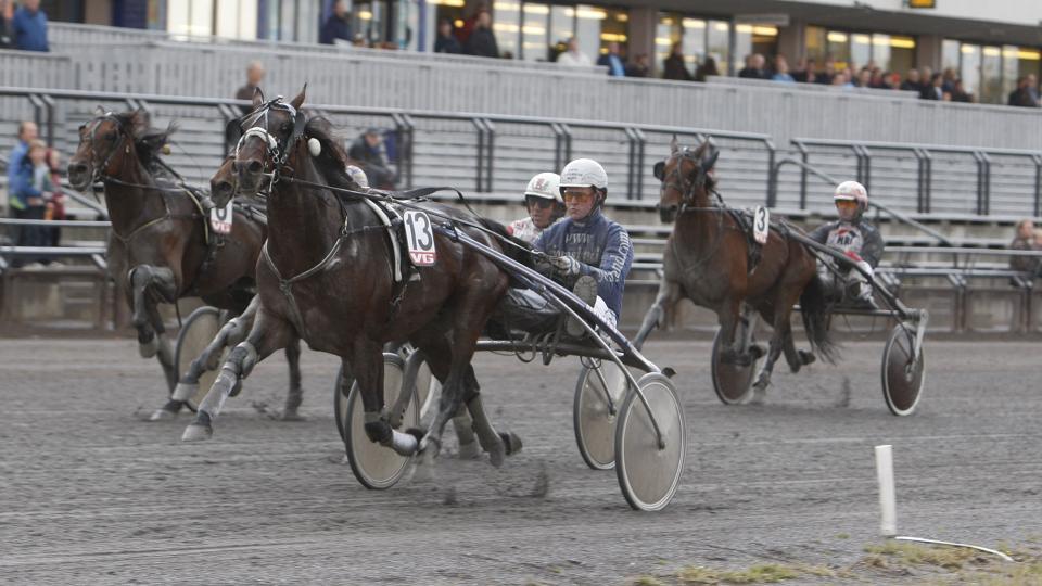 HER ER DET JEG SOM BESTEMMER. �ystein Tjomsland er mannen p� S�rlandet Travpark p� l�rdag med blant andre Iacopo. Foto: HESTEGUIDEN.COM.