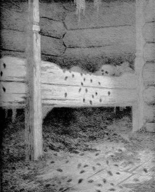 MUSENE R�R: Etter at pesten har herjet. Theodor Kittelsen 1896. Foto: WIKIMEDIA