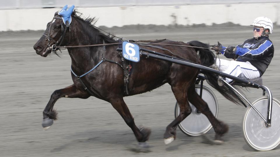 MED SKO TIL SEIER. Kusk Glenn Kramer Stenberg setter p� sko og tror han vinner med J�rvs�tuva i en supervrien V65-omgang. Foto: HESTEGUIDEN.COM.