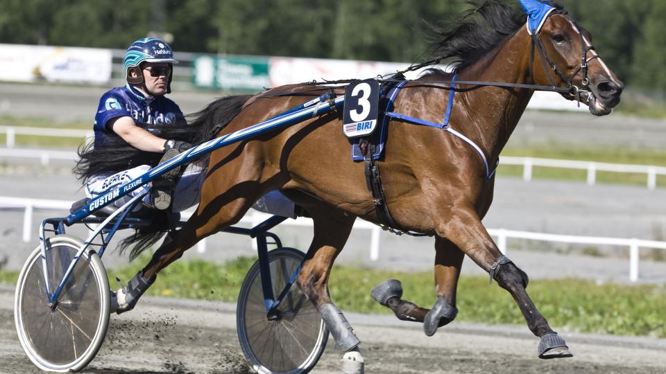 HADDE KREFTER IGJEN. Tinita Love og kusk Geir Vegard Gundersen fikk ikke fritt fram i tide i storl�pet Oslo Grand Prix. Foto: HESTEGUIDEN.COM.