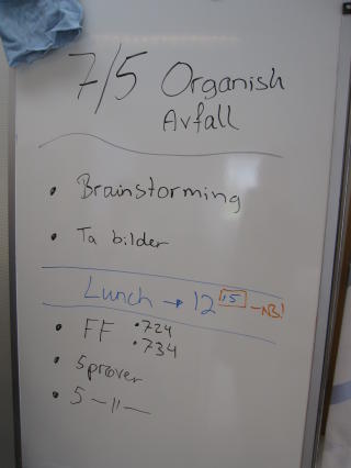 TIMEPLAN: F�r bed�mmingen starter, blir panelet enige om hvilke kriterier de skal bruke for � vurdere lukta av kompostpr�vene. Dette skjer ved en brainstorming.