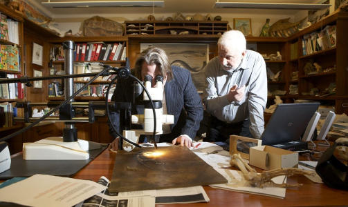  STUDERER:  Forskerne Jens Franzen (til h�yre) og J�rn Hurum studerer The Missing Link. Kommende mandag sendes dokumentaren p� History Channel.  Foto: HISTORY CHANNEL/�RJAN ELLINGV�G.