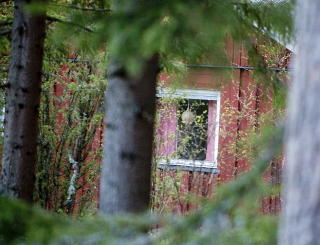 FUNNET DREPT: Her ble Per-Olov Thernstr�m funnet drept i sin sommerhytte ved sj�en M�ngen i Molkom. Foto: Thomas Rasmus Skaug / Dagbladet
