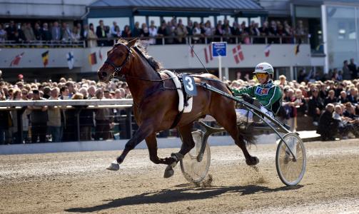 VINNERKUSK: Her kj�rer �ke Svanstedt inn til seier i Olympiatravet p� �by travbane i 2008. Foto: Adam Ihse