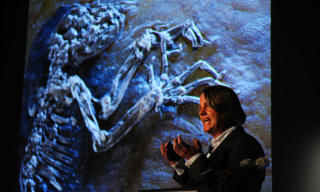 P� TURN�: J�rn Hurum har nylig v�rt p� promoturne med fossilet. Her fra American Museum of Natural History i New York 19. mai. Foto: SCANPIX/AFP PHOTO/Stan Honda