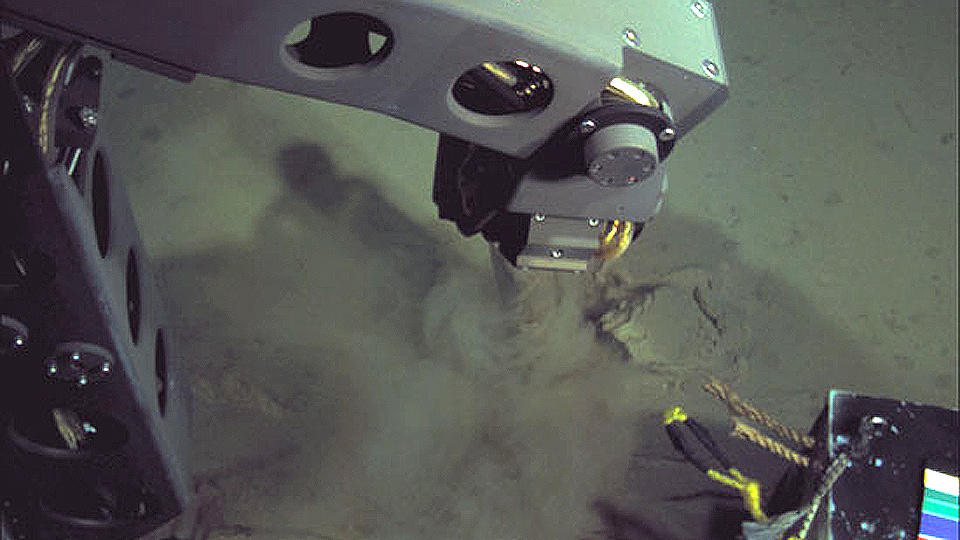 BUNNEN AV VERDEN: Robotarmen til den nybygde, fjernstyrte ub�ten �Nereus� samler inn pr�ver fra havbunnen p� Challenger-dypet, over 10 900 meter nede i Marianegropen �st for Filippinene.Foto: Woods Hole Oceanographic Institution