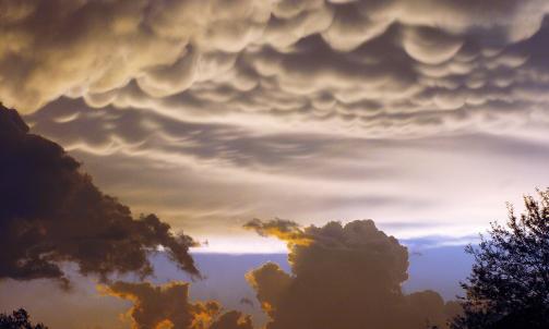 �PUPPESKYER:� Flere meteorologer er skeptiske til at Wiggins' foto demonstrerer en ny kategori sky. Erik Hagemark ved Meteorologisk institutt viser blant annet til de godt kjente mammatusskyene, som f�r kuleformer som f�lge av vertikale luftstr�mmer. Foto: AP/The Southwest Times Record/Kaia Larsen/Scanpix