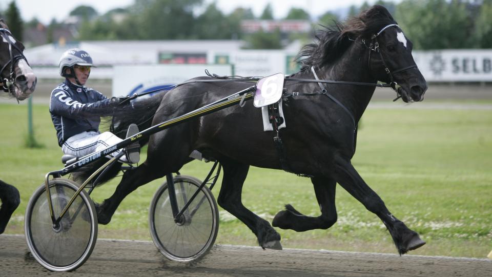 H�PER DET ER SLUTT. Asbj�rn Mehla h�per det er over n�.  Moe Odin ga helt opp i et l�p p� Drammen travbane. Foto: HESTEGUIDEN.COM.