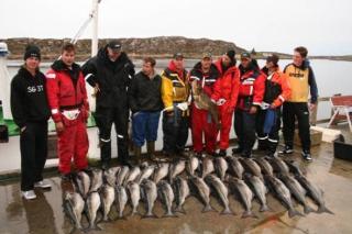 FR�YA: Storfisk fra havet Foto: Gurvikdal Havfiske