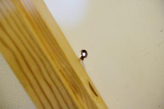 16-�ringen ble skutt utenfra og inn i asylmottaket. Det ene av de tre prosjektilene gikk gjennom veggen, over ei trapp, gjennom ei d�r og endte i ett skap p� den andre siden av bygget. 
Foto: Stian Lysberg Solum / SCANPIX .
