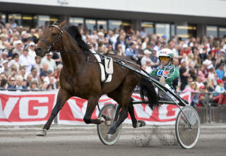  PROFFENES S�NDAG:  Etter Kjell Bjarne og Tuxi Titan i V75 l�rdag, over �rets Elitloppsvinner Torvald Palema og �ke Svanstedt  som en av favorittene i Forus Open s�ndag. Her fra Oslo Grand Prix i fjor. Foto: HESTEGUIDEN.COM.