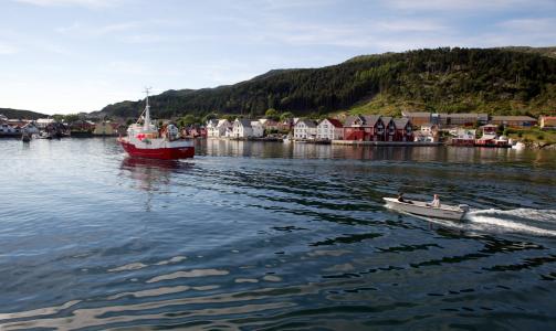  FR�YA: Sularevet ligger p� 300 meters dyp nord for �ya Fr�ya i S�r-Tr�ndelag. Foto: SCANPIX.