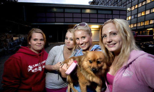N�R ENDEN ER GOD...: Jenna kom til rette med god hjelp fra matmors venninner. Fra venstre Camilla Wiik Br�ten (19), Tonje Gysler (17), Thea Br�ten Christensen (19) med hunden Jenna, og Cathrine Skulstad (19) p� Gr�nland i Oslo seint i g�r kveld. Foto: HENNING LILLEG�RD/DAGBLADET