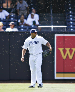 ALLERGISK: San Diego Padres' Kyle Blanks ble overrumplet av bisvermen ute p� left field, og ble nerv�s fordi han er allergisk mot bistikk. Foto: SCANPIX/AP/Denis Poroy