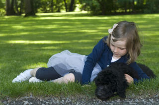 KONGELIG LABRADOODLE: Prinsesse Ingrid Alexandra med hunden Milly Kakao i parken på Bygdøy Kongsgård. Kronprinsfamilien har fått hund, Milly Kakao er en Labradoodle, det vil si en blanding av Labrador Retriver og en Standard Puddel.
Foto: Veronica Melå / Det Kongelige Norske Hoff / SCANPIX KONGELIG LABRADOODLE: Prinsesse Ingrid Alexandra med hunden Milly Kakao i parken på Bygdøy Kongsgård. Kronprinsfamilien har fått hund, Milly Kakao er en Labradoodle, det vil si en blanding av Labrador Retriver og en Standard Puddel.
Foto: Veronica Melå / Det Kongelige Norske Hoff / SCANPIX