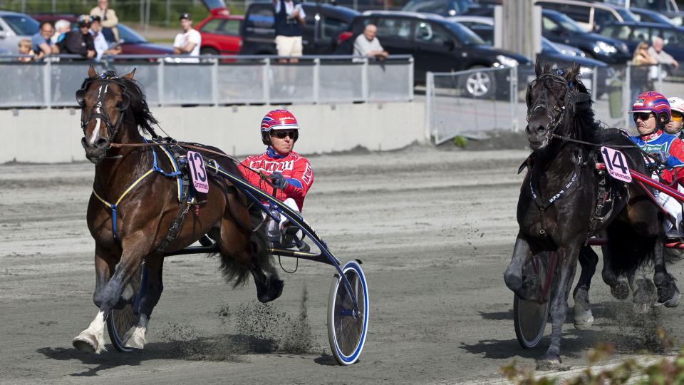  DEN �TTENDE V75-SEIREN:  I Drammen 13. juni tok Neslands Loke sin �ttende seier i V75 - tross startgalopp. Kusk �sbj�rn Tengsareid konstaterer at hovedopponenten Voje Faks er kneblet. Foto: HESTEGUIDEN.COM