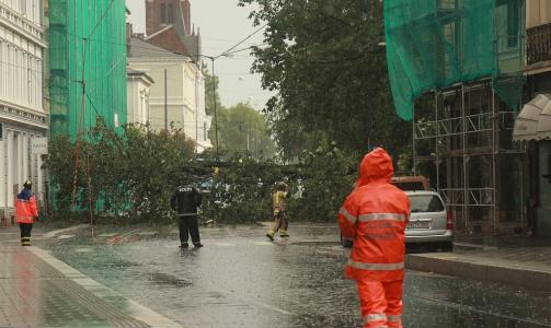 BLOKKERER: Et tre falt over trikkens kj�reledning og blokkerer Holtegata mellom Homansbyen og Uranienborg. Foto: SVEIN GUSTAV WILHELMSEN