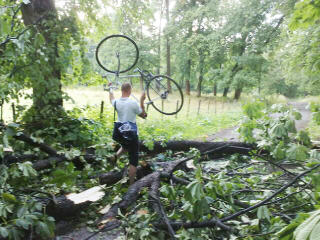 TRE I VEIEN: Tr�r ble delt i to da lynet slo ned. Foto: BJ�RN BREKKE