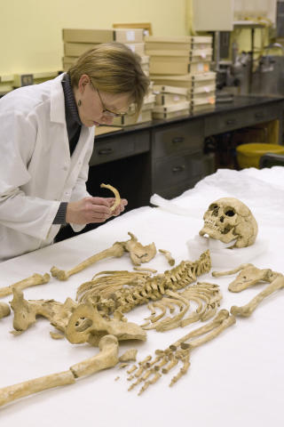 LIVET I USA P� 1600-TALLET: Her er det antropolog Karin Bruwelheide som jobber med skjelettet fra 1600-tallet som er en del av utstillingen �Written in Bone�. Foto: AP/Smithsonian, Chip Clark