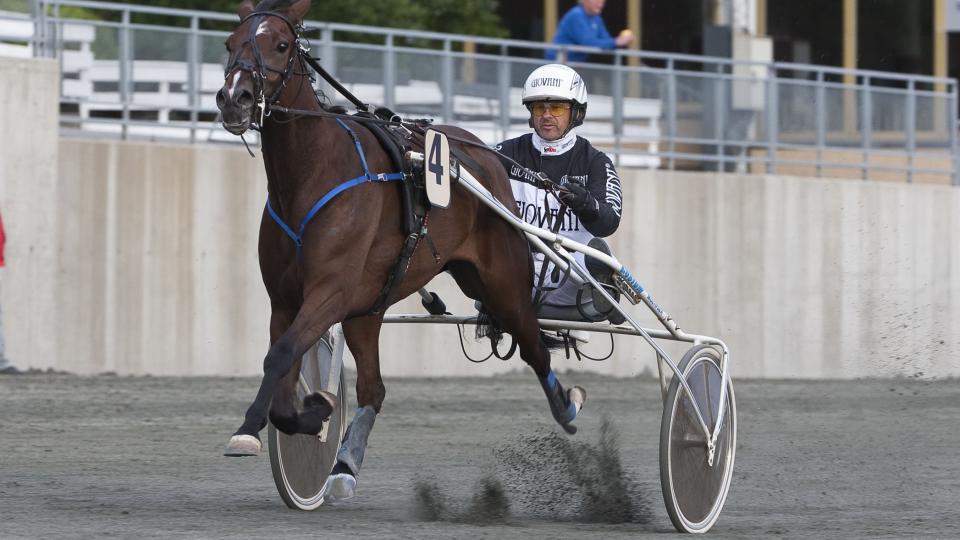 ENDA ET STORTALENT. Sizzling og Vidar Hop skal ta seg av mye i �rgangsl�pene. Men f�rst er det som banker i V65 p� Jarlsberg. Foto: HESTEGUIDEN.COM.