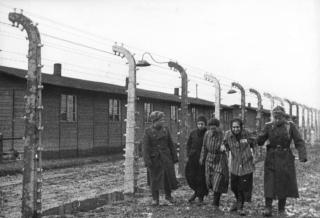 SOVJETISKE FRIGJ�RERE: Sovjetiske soldater med fanger fra Auschwitz II-Birkenau i 1945. Bildet er fra en sovjetisk dokumentar om frigj�ringen av Auschwitz. Foto: REUTERS