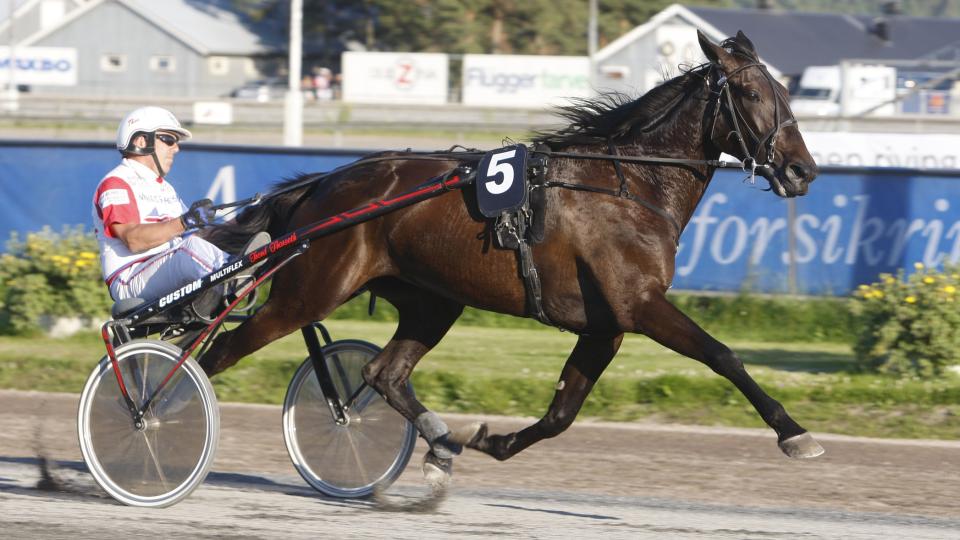 KUSK TROR P� TET. Thor Borg valgte innersporet og er klar for tet fra start til m�l med Sweet Case i V75-6 p� Jarlsberg l�rdag. Foto: HESTEGUIDEN.COM.