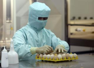 H1N1-VAKSINER: En forsker jobber med fremistillingen av vaksine for svineinfluensaen.  REUTERS/Chaiwat Subprasom