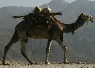 Foto: Akhtar Soomro/REUTERS