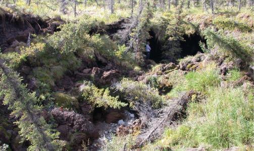 KARBONBASSENG: Ogs� her i Canadas Denali nasjonalpark finnes det �karbonbesseng� i form av permafrost. Foto: Larissa Yocum