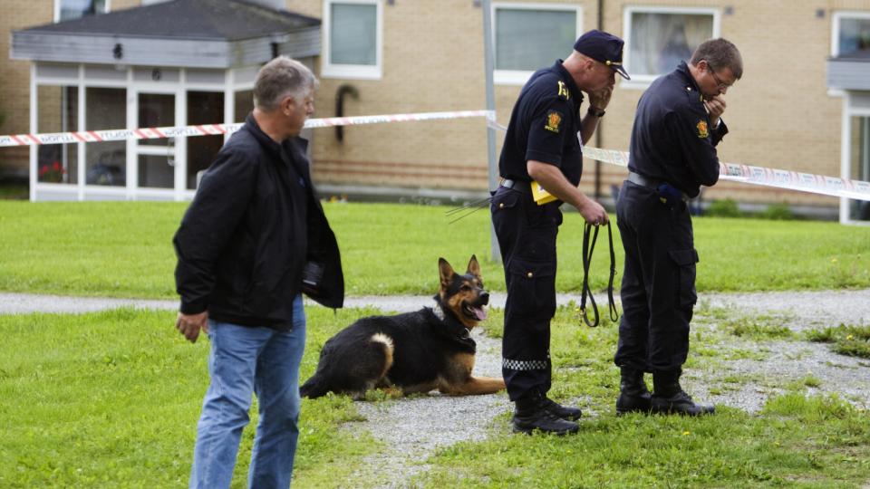 OMFATTENDE ETTERFORSKNING: Politi med hunder gjorde i ettermiddag s�k ved funnstedet, mens tekniske etterforskere fra Kripos sikret mulige spor.
Foto: Cornelius Poppe / SCANPIX