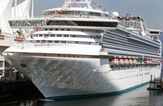 SKIPET: Dette cruiseskipet kj�rte p� hvalen. Foto: AP/Canadian Press, Darryl Dyck