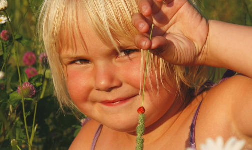 Her er �rets f�rste markjordb�r, selvf�lgelig tredd p� str� som Alf Pr�ysen sang, og p� Rudsh�gda, finner du mange av dem, skriver Liv, som har lagt inn dette bildet.